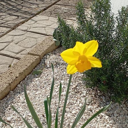 B&B Villa Alma San Costanzo 外观 照片